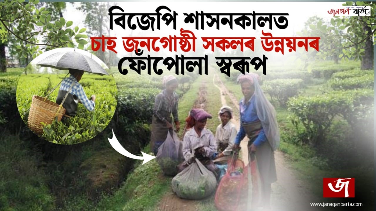 Performance  Audit Report on Implementation of Schemes for Welfare of Tea Tribe