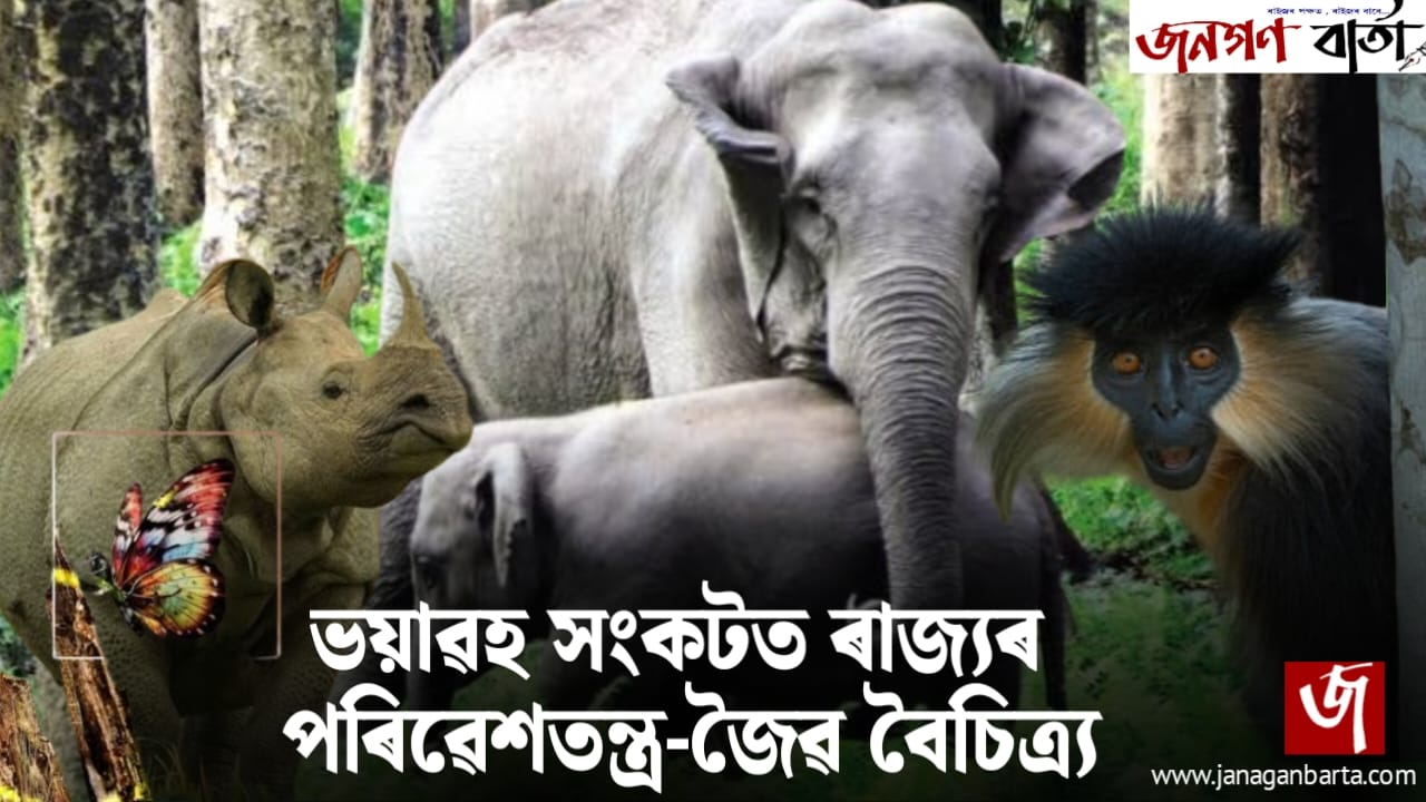 Fading Biodiversity of Assam