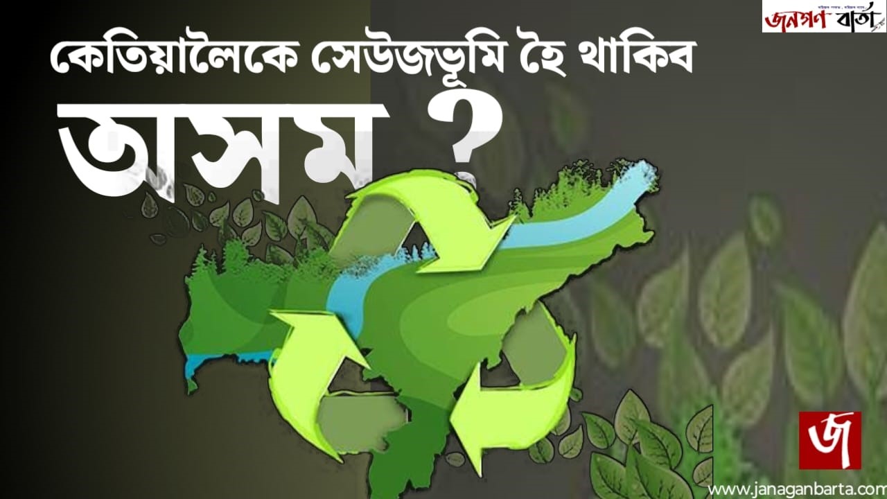 Deforestation in Assam